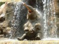 /album/fotogalljerjeja/a248428-172787126115425-140564299337708-446444-8094574-n-jpg/